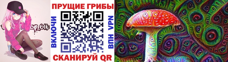 Галлюциногенные грибы Cubensis Карачев